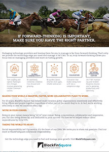 BlackFin Square Services